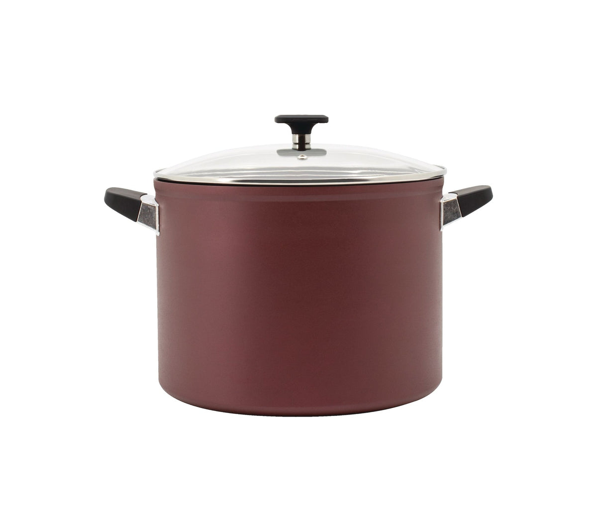 PADERNO Classic Non-Stick Stock Pot, 10-qt