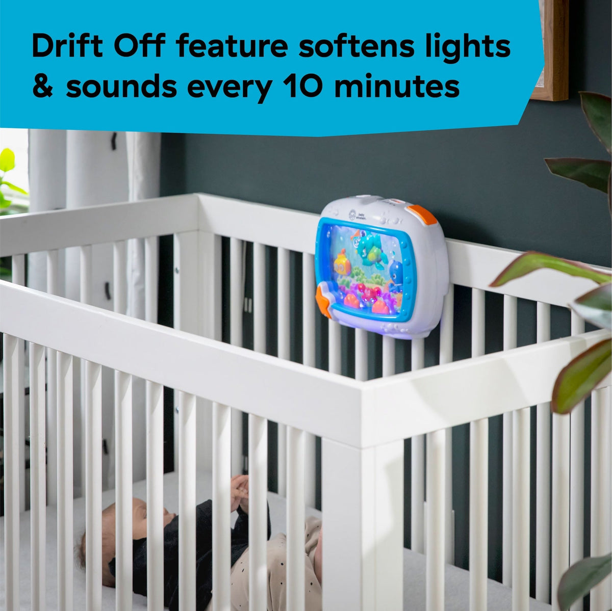 Baby Einstein Sea Dreams Soother Musical Crib Toy and Sound Machine