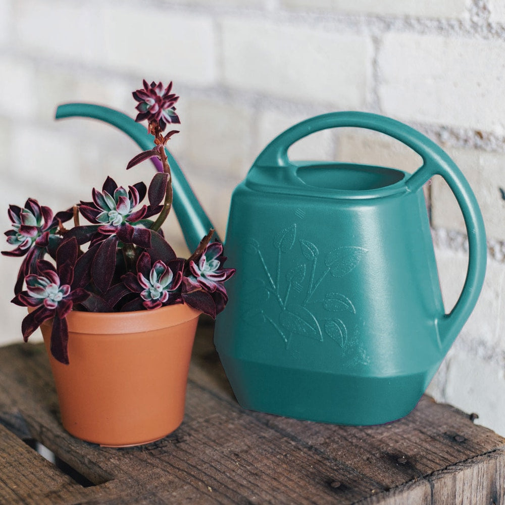 Bloem Indoor Plastic Watering Can, 4.25-L