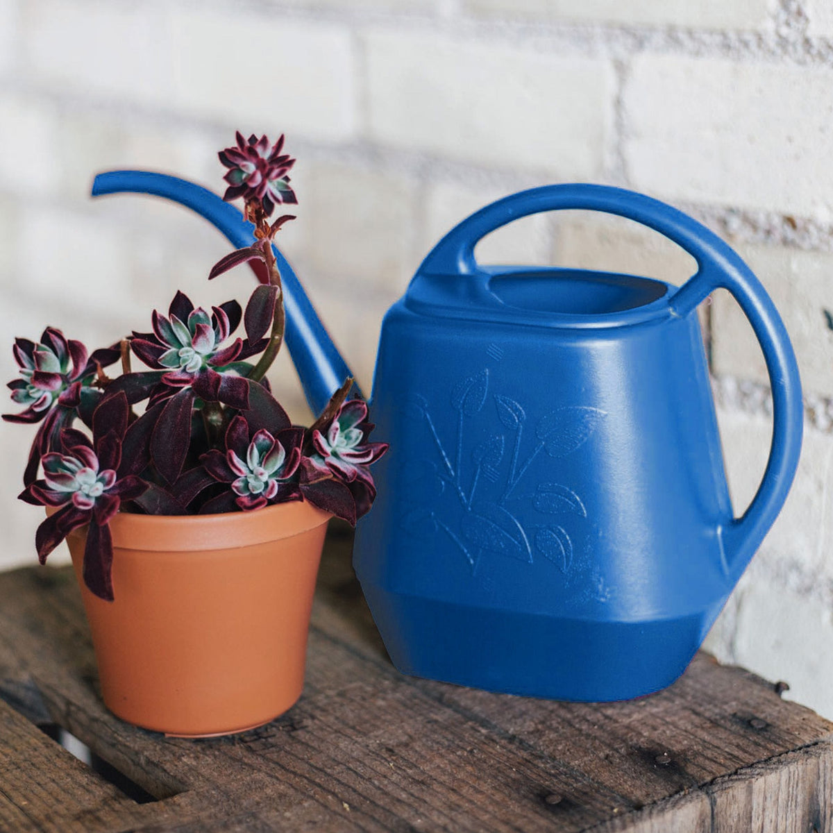 Bloem Indoor Plastic Watering Can, 4.25-L