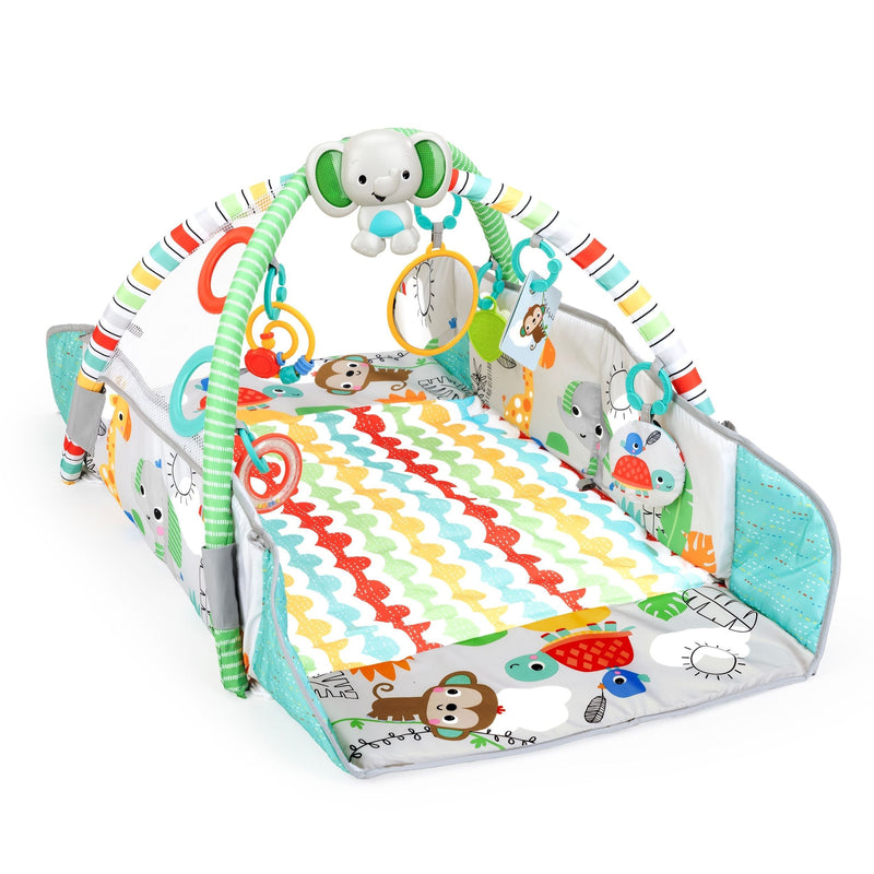 Bright Starts 5-in-1 Your Way Ball Play Gym R1