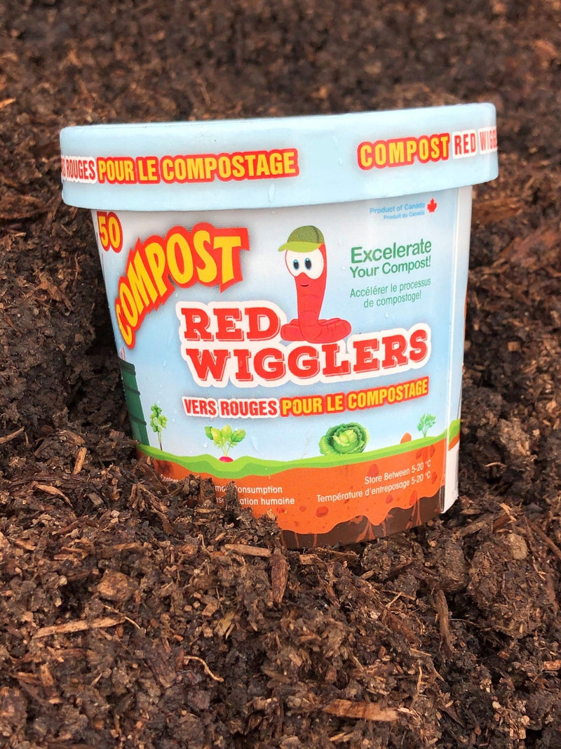 Compost Red Wiggler Live Composting Worms, 50 Count N1