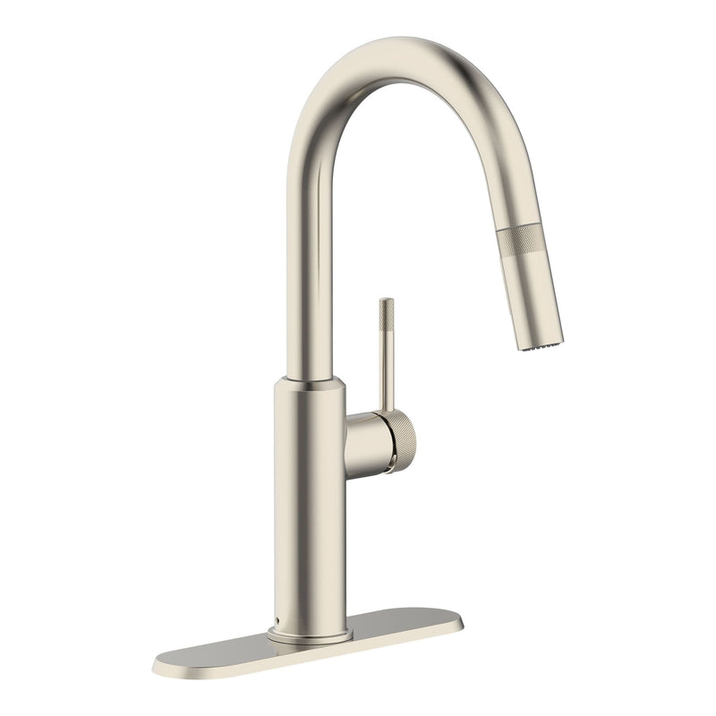Danze Colby 1-Handle Pull-Down Kitchen Faucet with Knurled Accents, Stainless Steel R2