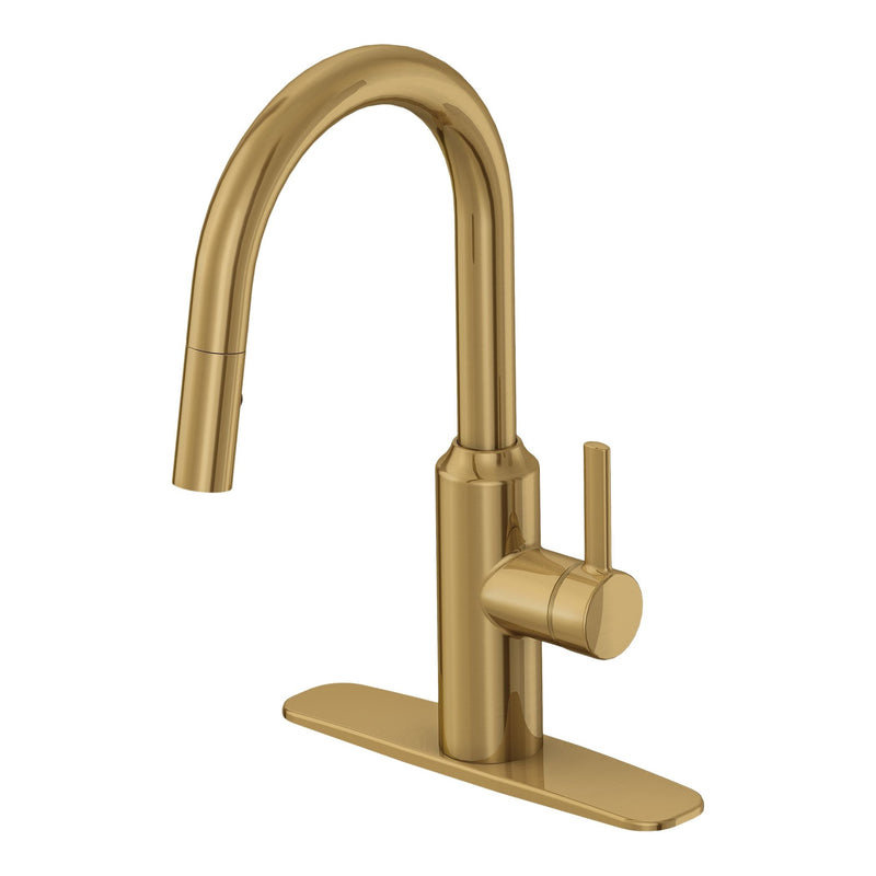 Danze Colby Single-Handle Pull-Down Kitchen Faucet, Brushed Bronze E2