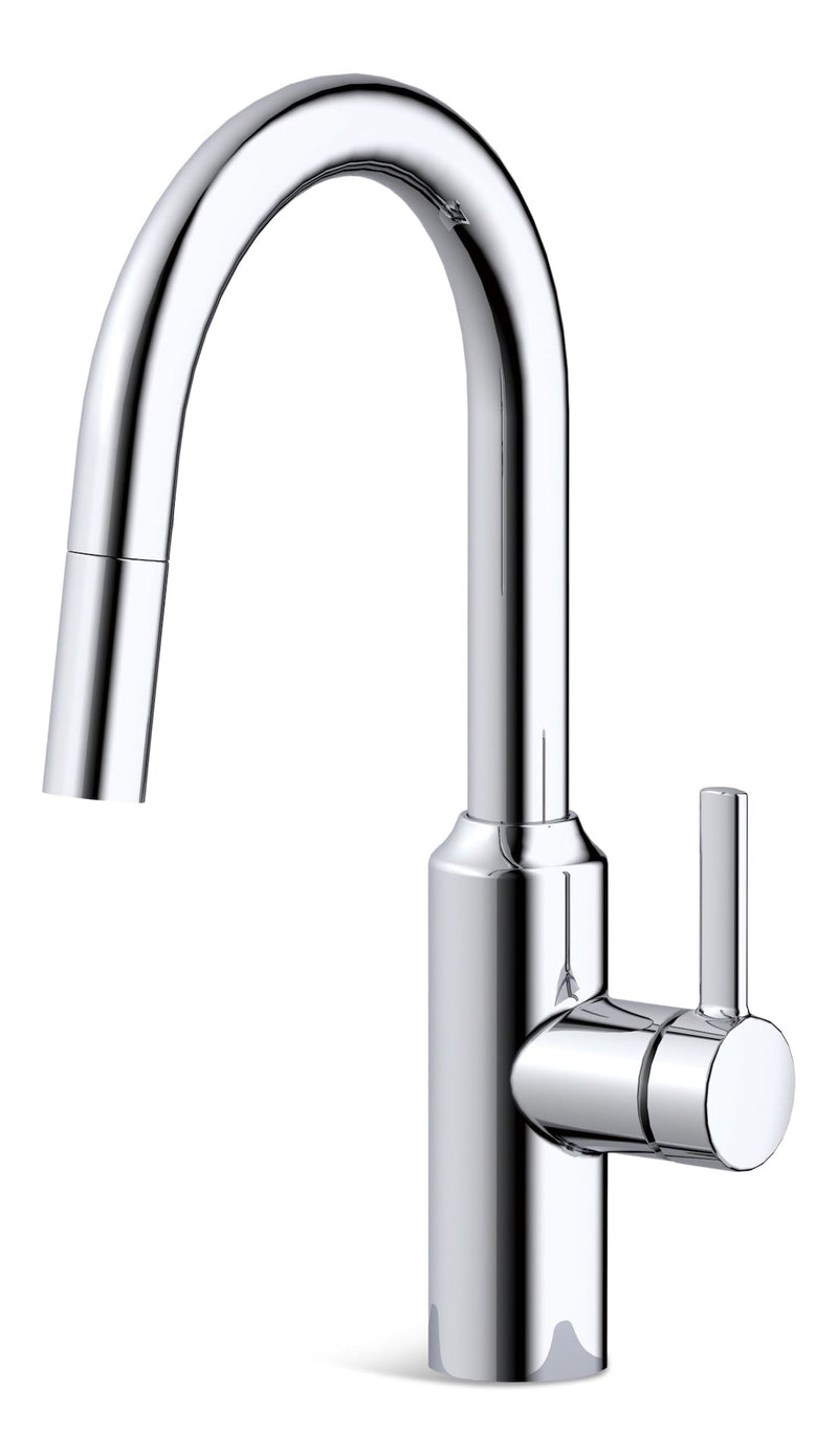 Danze Colby Single-Handle Pull-Down Kitchen Faucet, Chrome D0