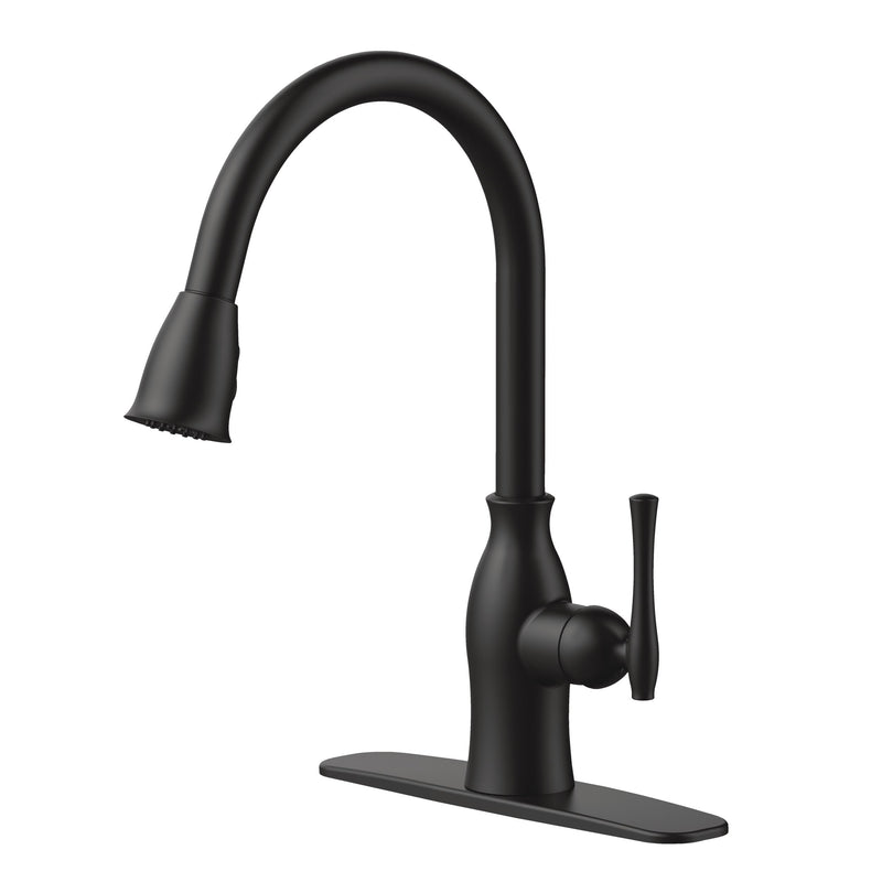 Danze Lisa 1-Handle Pull-Down Kitchen Faucet, Matte Black T5