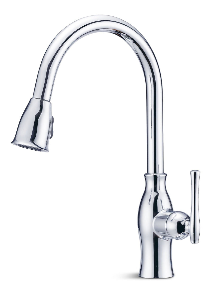 Danze Lisa Single-Handle Pull-Down Kitchen Faucet, Chrome T5