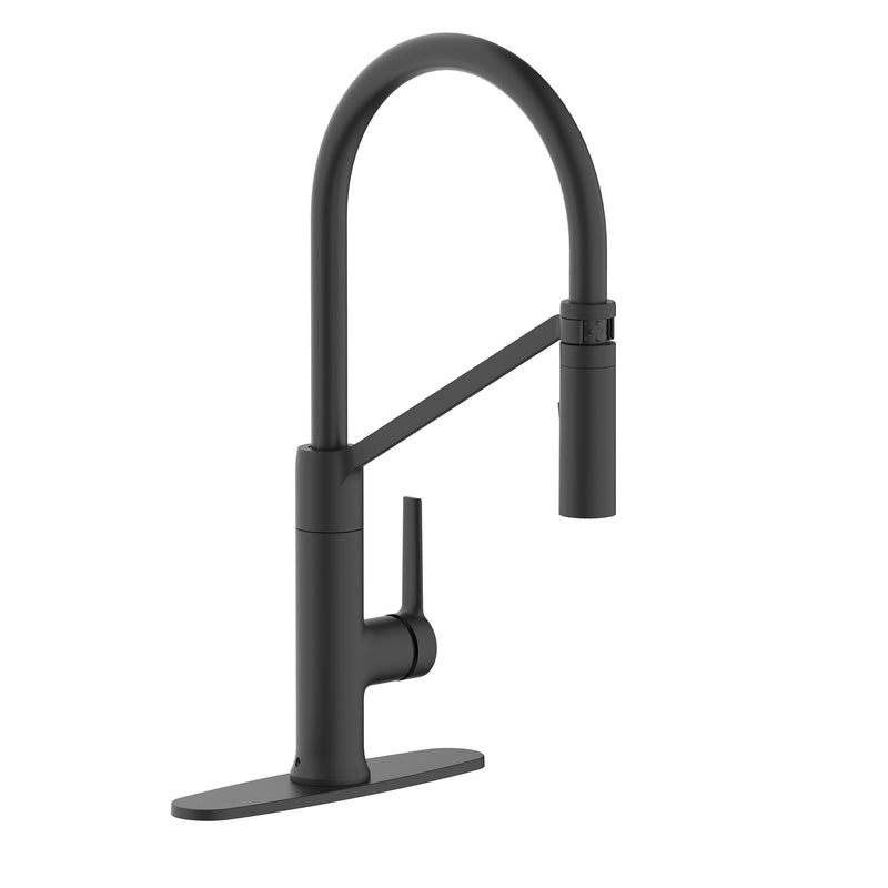 Danze Tana 1-Handle Pull-Down Kitchen Faucet C1