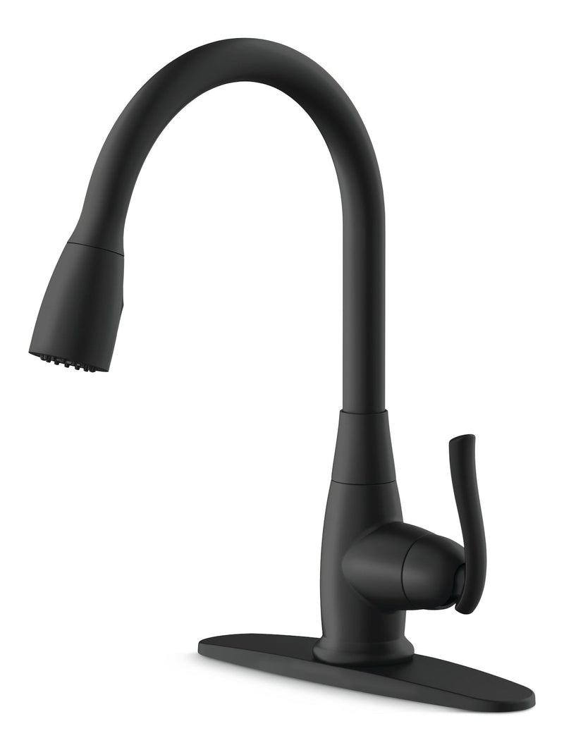 Danze Terrazo 1-Handle Pull Down Kitchen Faucet, Matte Black E7