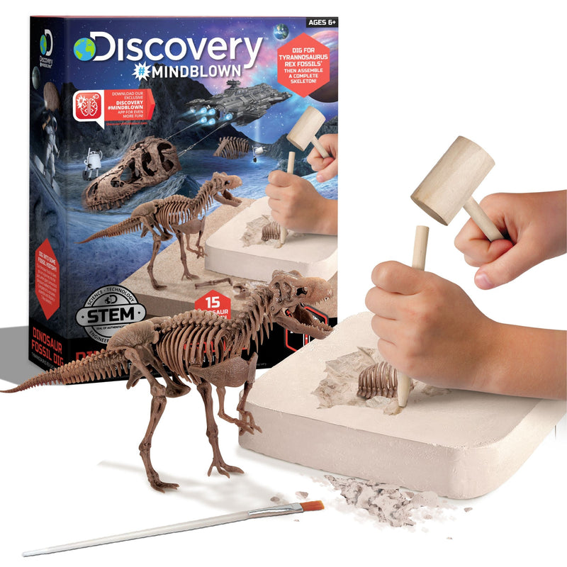 Discovery Dinosaur Skeleton T-Rex 3D Puzzle Excavation Kit/Educational Toy for Ages 6+ C5