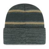 Fan Favorite NBA Toronto Raptors Mass Level Knit Toque