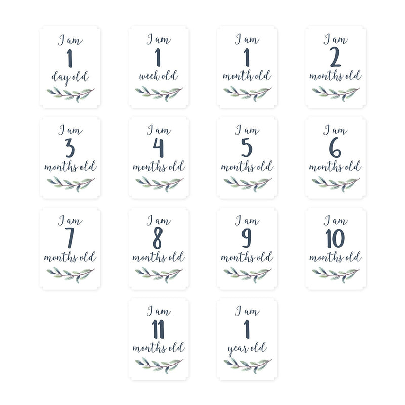 Lulujo Baby's 1st Year Milestone Blanket, Hello World Wreath X8