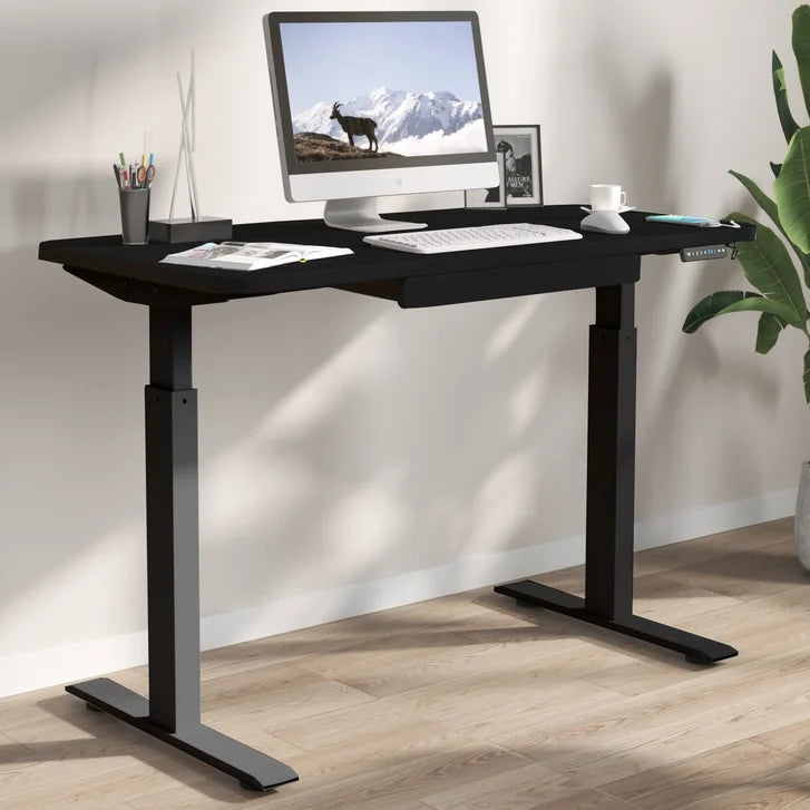 Motionwise 121.9 cm x 61 cm (48 in. x 24 in.) Height Adjustable Desk G6