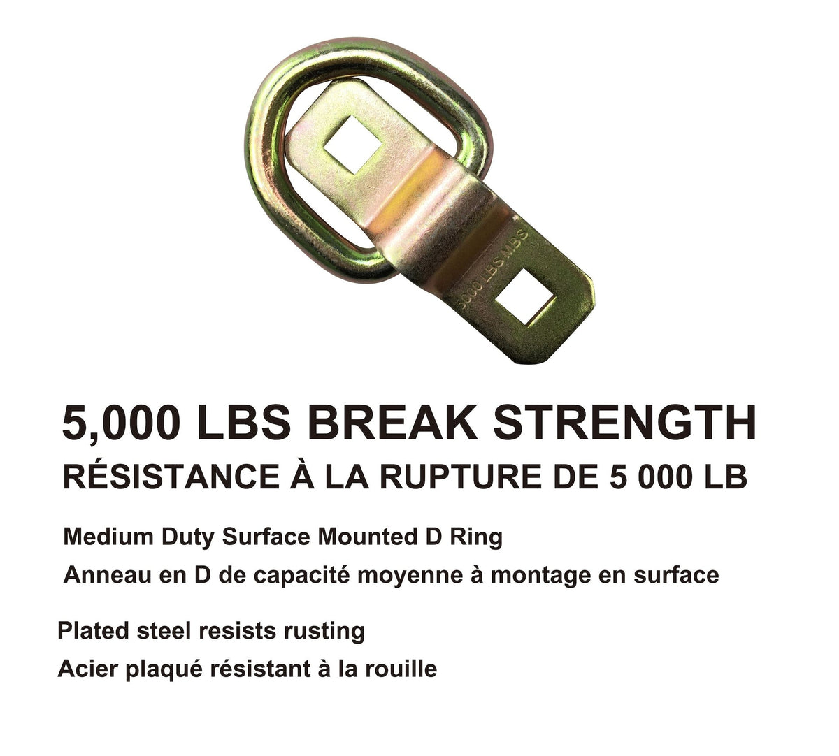 MotoMaster 5,000-lb Medium Duty D-Ring, Surface Mountable