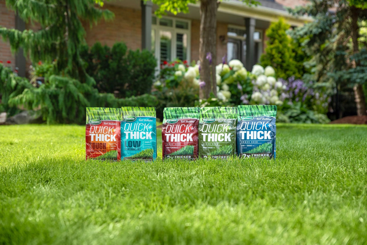 Scotts Turf Builder Quick + Thick Grass Seed Tough & Resilient Mix, 12-0-0, 1.2-kg