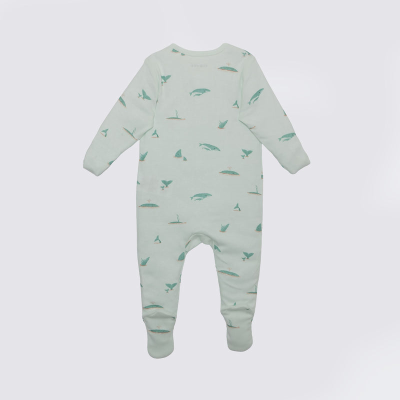 The Elk Baby Whale Print Premium Organic Cotton Play and Grow Zippy, Various Sizes X3