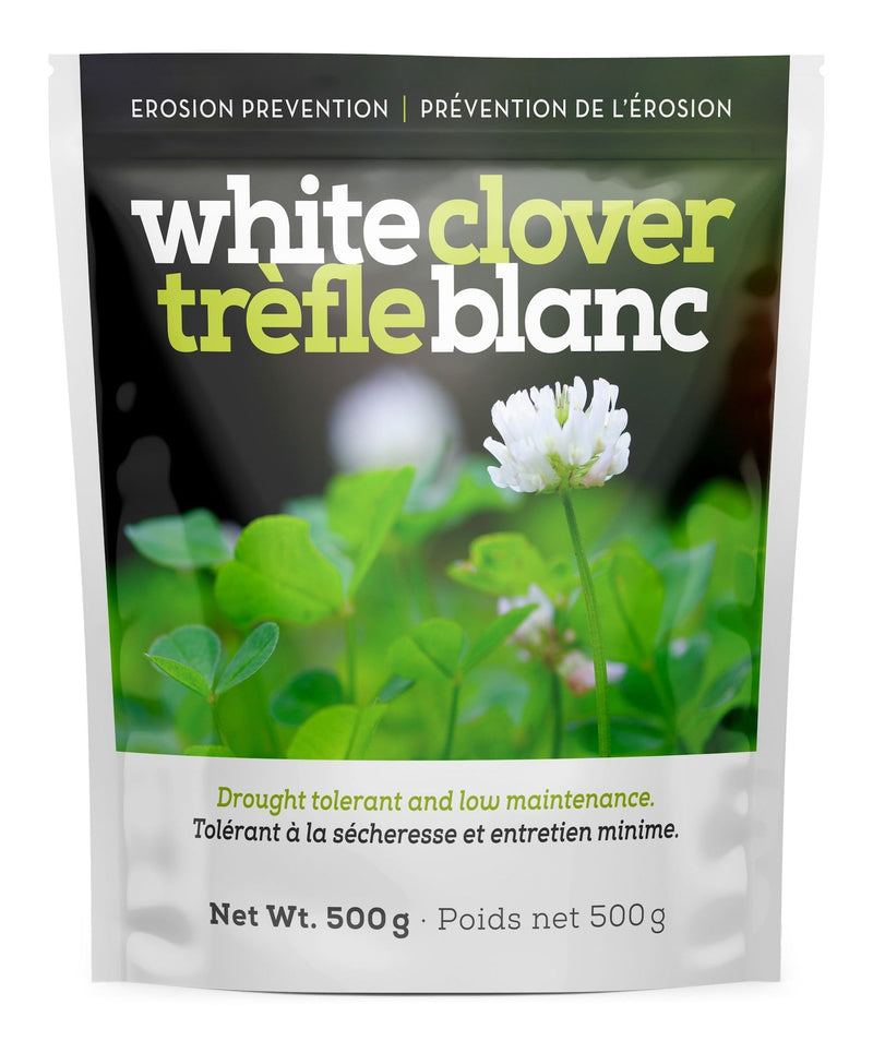 White Clover Erosion Control Grass Seed 500g M3